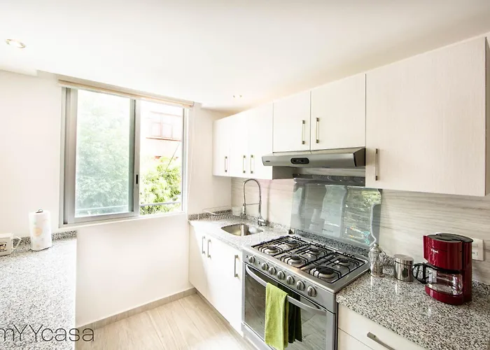 Bright Stylish Near Polanco