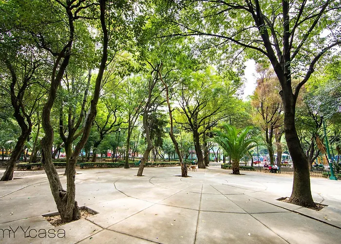Bright Stylish Near Polanco Apartment Mexico City